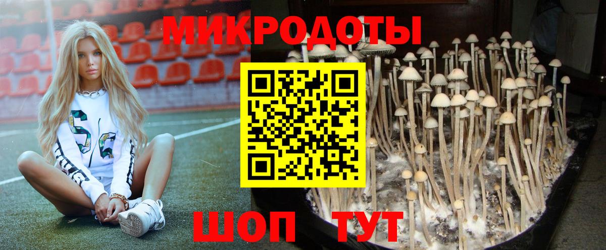 Псилоцибиновые грибы прущие грибы  Вход с VPN  Галлюциногенные грибы MAGIC MUSHROOMS  Канск 