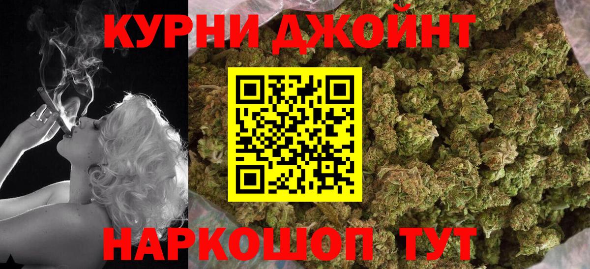 Конопля сатива  Конопля индика  Канабис план  Вход с VPN  Канск 